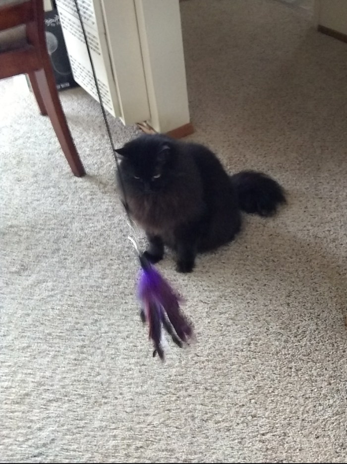 IMG_20171116_144110838_BURST000_COVER_TOP