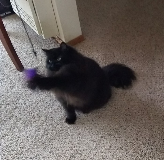 IMG_20171116_144138112