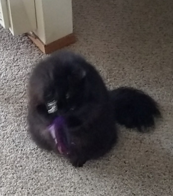 IMG_20171116_144203948